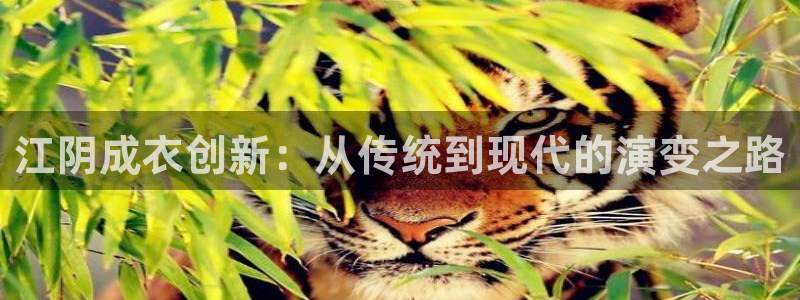 天辰娱乐扣钱