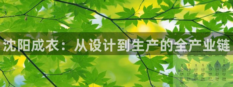 天辰娱乐简介