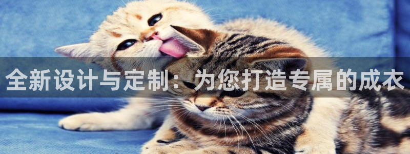 天辰娱乐557448