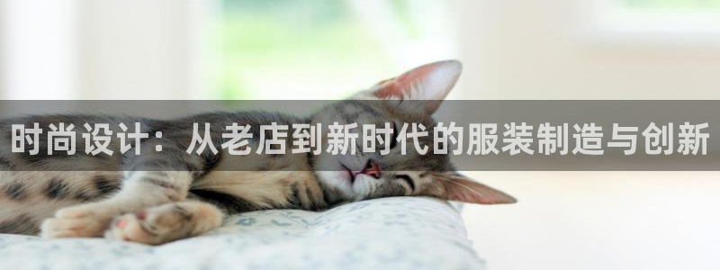 手机上怎么下载天辰娱乐