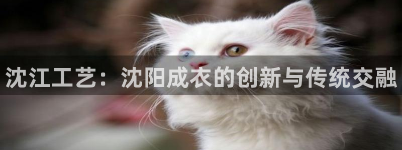 天辰娱乐官网平台入口