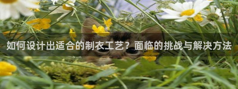 天辰娱乐游戏