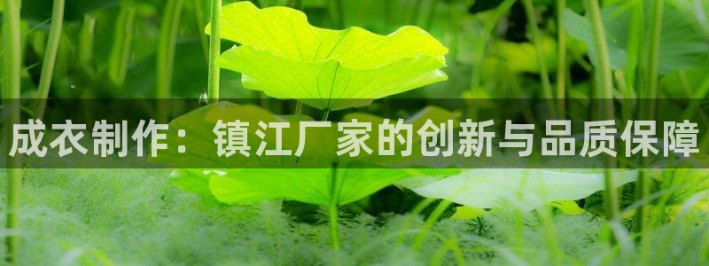 天辰娱乐软件