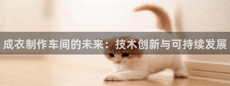 天辰娱乐51137