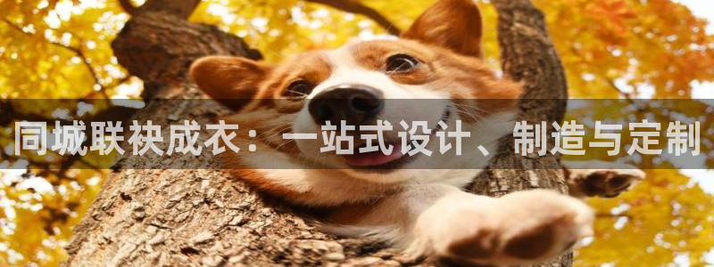 天辰娱乐解封