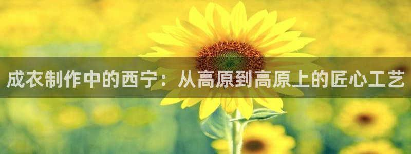 天辰app娱乐