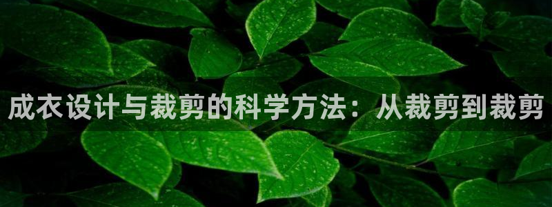 天辰娱乐集团