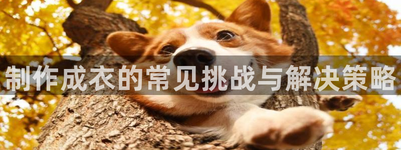 天辰娱乐51137