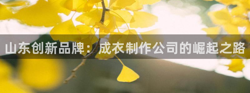 天辰娱乐885544