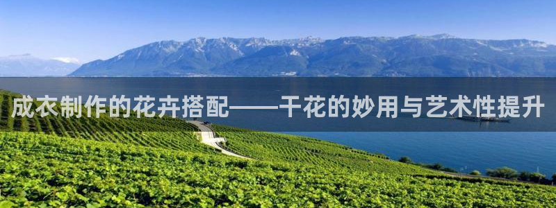 天辰娱乐游戏平台怎么样