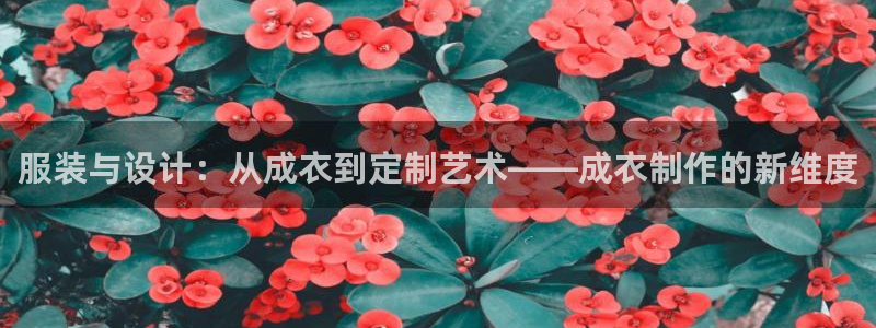 手机上怎么下载天辰娱乐