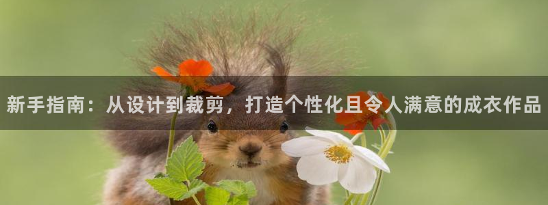 天辰娱乐会员