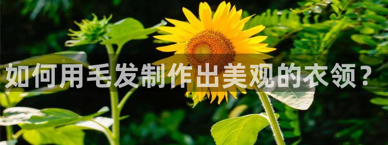 天辰娱乐棋牌