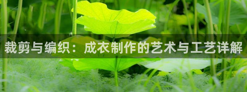 天辰娱乐地址