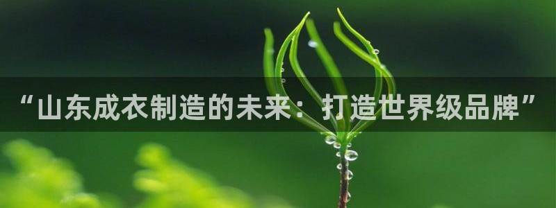 天辰宝娱乐