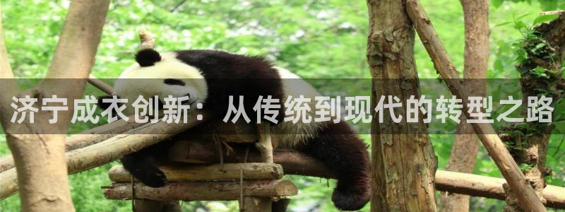 天辰娱乐登陆