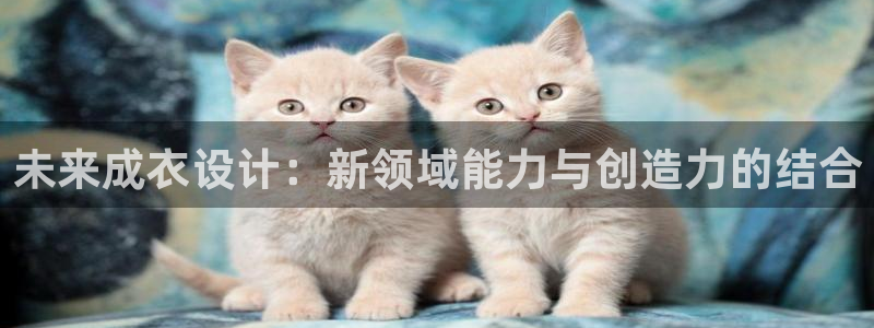 天辰娱乐在哪