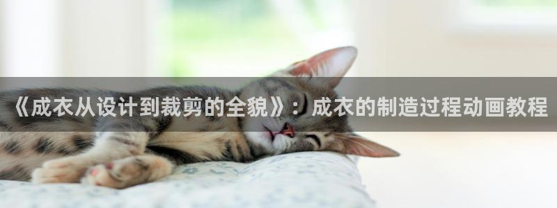 天辰娱乐ttf