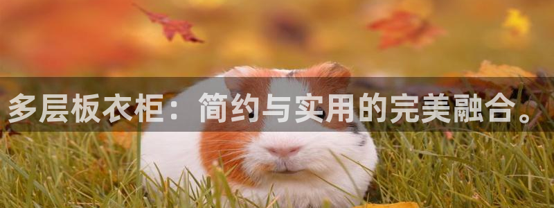 天富娱乐与天辰娱乐