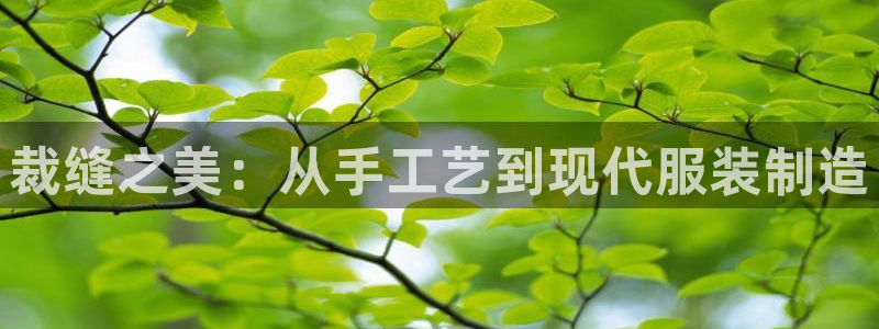 天辰团队贝高娱乐