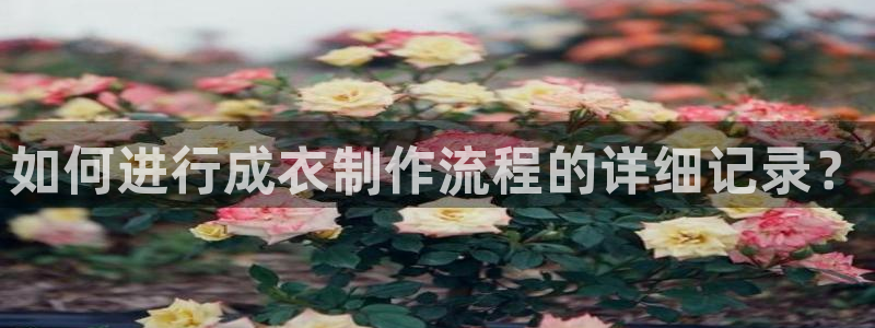 天辰娱乐675138