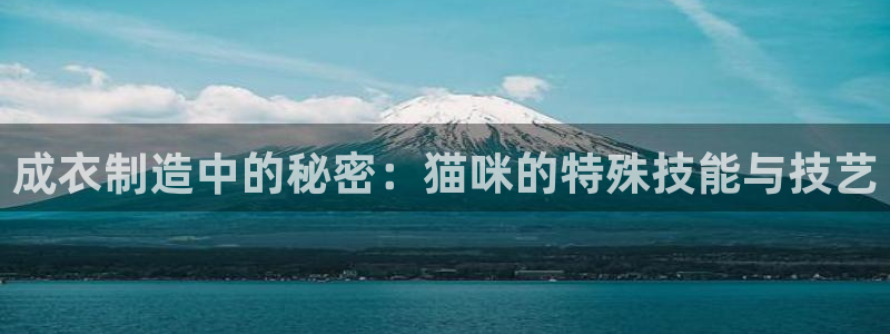 天辰辰娱乐代理