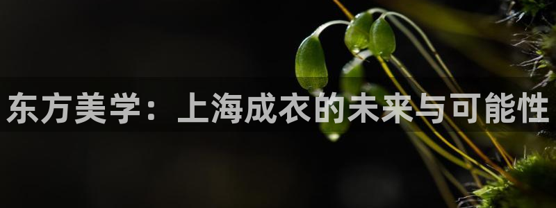 天辰娱乐39974神