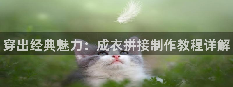 天辰娱乐登录网址