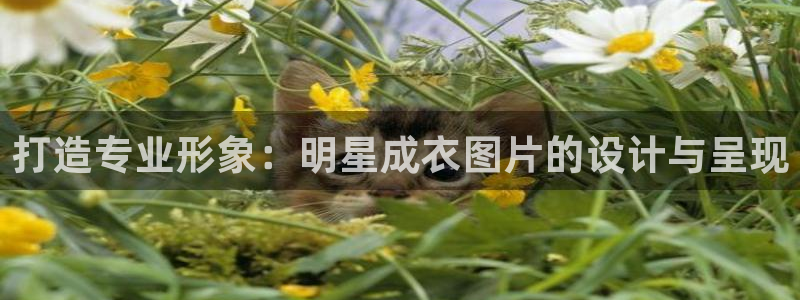 天辰娱乐 天辰平台