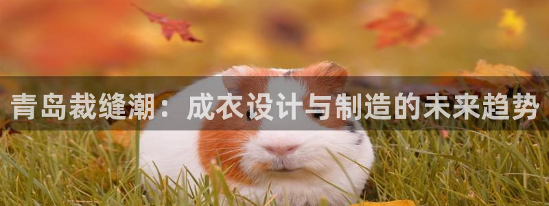 天辰娱乐39974神