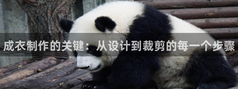 天辰娱乐官网平台入口