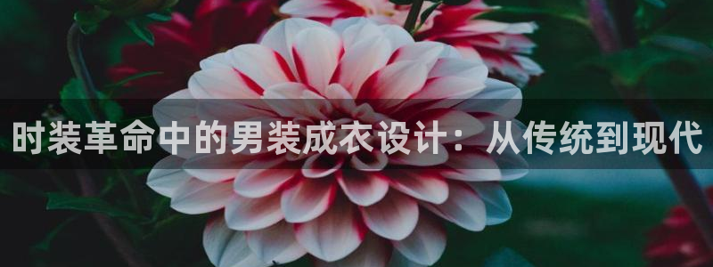 天辰娱乐下载地址