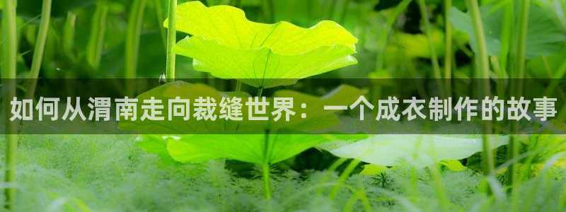 天辰娱乐官网平台入口