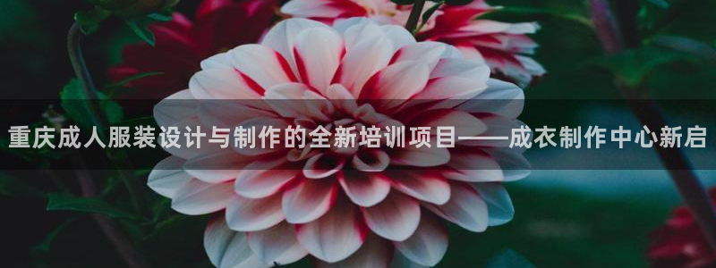 天辰娱乐的网址首页