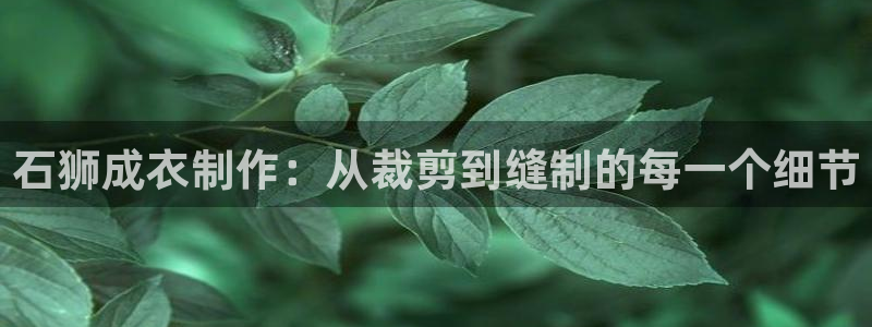 天辰娱乐平台安全吗