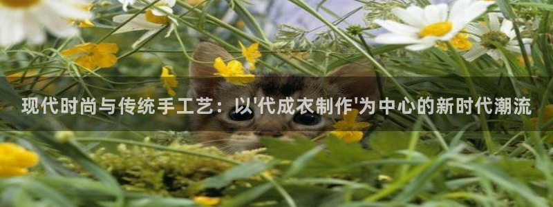 天辰娱乐平台入口